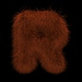 3D Rendering Creative Illustration Ginger Orangutan Furry Letter R