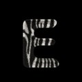 3D Rendering Creative Illustration Zebra Print Furry Letter E