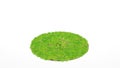 3d rendering. Cross section of circle with green grass isolated Royalty Free Stock Photo