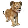 3D Rendering Lion Cub on White