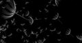 3d rendering of dandelion blowing silhouette. Flying blow dandel Royalty Free Stock Photo