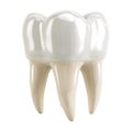 3D Rendering of a Dental Human Teeth on Transparent Background - Ai Generated Royalty Free Stock Photo