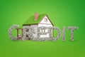 3d rendering of a detached house and lots of dollar bills forming a big title Credit in front of it on a green