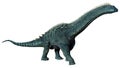 3D Rendering DinosaurAlamosaurus on White