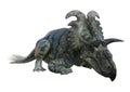 3D Rendering Dinosaur Albertaceratops on White Royalty Free Stock Photo