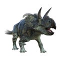 3D Rendering Dinosaur Albertaceratops on White Royalty Free Stock Photo