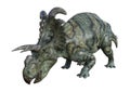 3D Rendering Dinosaur Albertaceratops on White Royalty Free Stock Photo