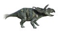 3D Rendering Dinosaur Albertaceratops on White