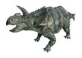 3D Rendering Dinosaur Albertaceratops on White