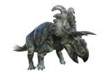 3D Rendering Dinosaur Albertaceratops on White Royalty Free Stock Photo