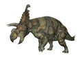 3D Rendering Dinosaur Albertaceratops on White Royalty Free Stock Photo