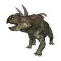 3D Rendering Dinosaur Albertaceratops on White Royalty Free Stock Photo