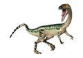 3D Rendering Dinosaur Coelophysis on White Royalty Free Stock Photo