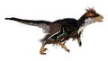 3D Rendering Dinosaur Deinonychus on White