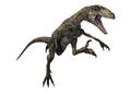 3D Rendering Dinosaur Deinonychus on White