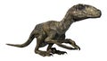 3D Rendering Dinosaur Deinonychus on White Royalty Free Stock Photo