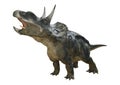 3D Rendering Dinosaur Diceratops on White