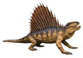 3D Rendering Dinosaur Dimetrodon on White