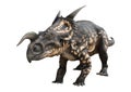 3D Rendering Dinosaur Einiosaurus on White Royalty Free Stock Photo