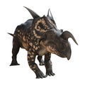 3D Rendering Dinosaur Einiosaurus on White Royalty Free Stock Photo