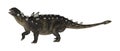 3D Rendering Dinosaur Euoplocephalus on White Royalty Free Stock Photo