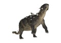 3D Rendering Dinosaur Euoplocephalus on White Royalty Free Stock Photo