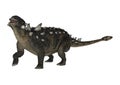 3D Rendering Dinosaur Euoplocephalus on White Royalty Free Stock Photo