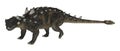 3D Rendering Dinosaur Euoplocephalus on White Royalty Free Stock Photo