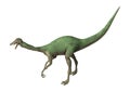 3D Rendering Dinosaur Gallimimus on White