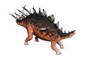 3D Rendering Dinosaur Kentrosaurus on White