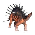 3D Rendering Dinosaur Kentrosaurus on White