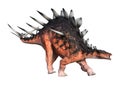 3D Rendering Dinosaur Kentrosaurus on White