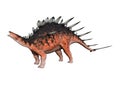 3D Rendering Dinosaur Kentrosaurus on White