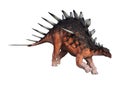 3D Rendering Dinosaur Kentrosaurus on White