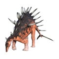 3D Rendering Dinosaur Kentrosaurus on White