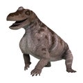 3D Rendering Dinosaur Keratocephalus on White Royalty Free Stock Photo