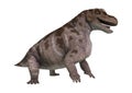 3D Rendering Dinosaur Keratocephalus on White Royalty Free Stock Photo