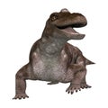 3D Rendering Dinosaur Keratocephalus on White Royalty Free Stock Photo
