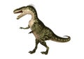 3D Rendering Dinosaur Monolophosaurus on White Royalty Free Stock Photo