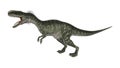 3D Rendering Dinosaur Monolophosaurus on White Royalty Free Stock Photo