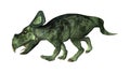 3D Rendering Dinosaur Protoceratops on White Royalty Free Stock Photo