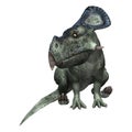 3D Rendering Dinosaur Protoceratops on White Royalty Free Stock Photo