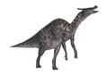 3D Rendering Dinosaur Saurolophus on White Royalty Free Stock Photo