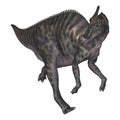 3D Rendering Dinosaur Saurolophus on White Royalty Free Stock Photo