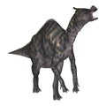 3D Rendering Dinosaur Saurolophus on White Royalty Free Stock Photo