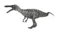 3D Rendering Dinosaur Suchomimus on White