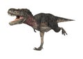 3D Rendering Dinosaur Tarbosaurus on White