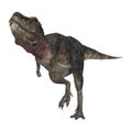 3D Rendering Dinosaur Tarbosaurus on White Royalty Free Stock Photo