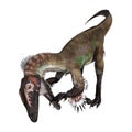 3D Rendering Dinosaur Utahraptor on White Royalty Free Stock Photo