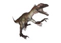 3D Rendering Dinosaur Utahraptor on White Royalty Free Stock Photo